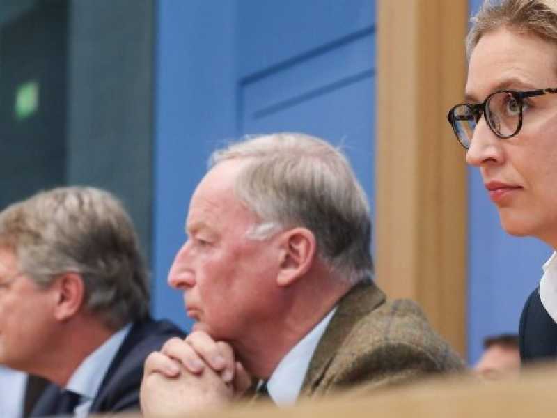 La conferenza stampa dell'AfD. Foto LaPresse/XinHua 