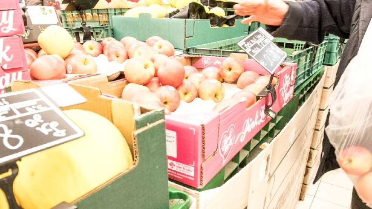 Immagine di Perché il balzello sui sacchetti biodegradabili non è eco-logico