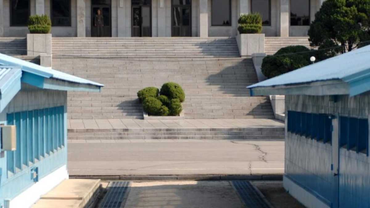 Immagine di Guarda chi viene alle Olimpiadi