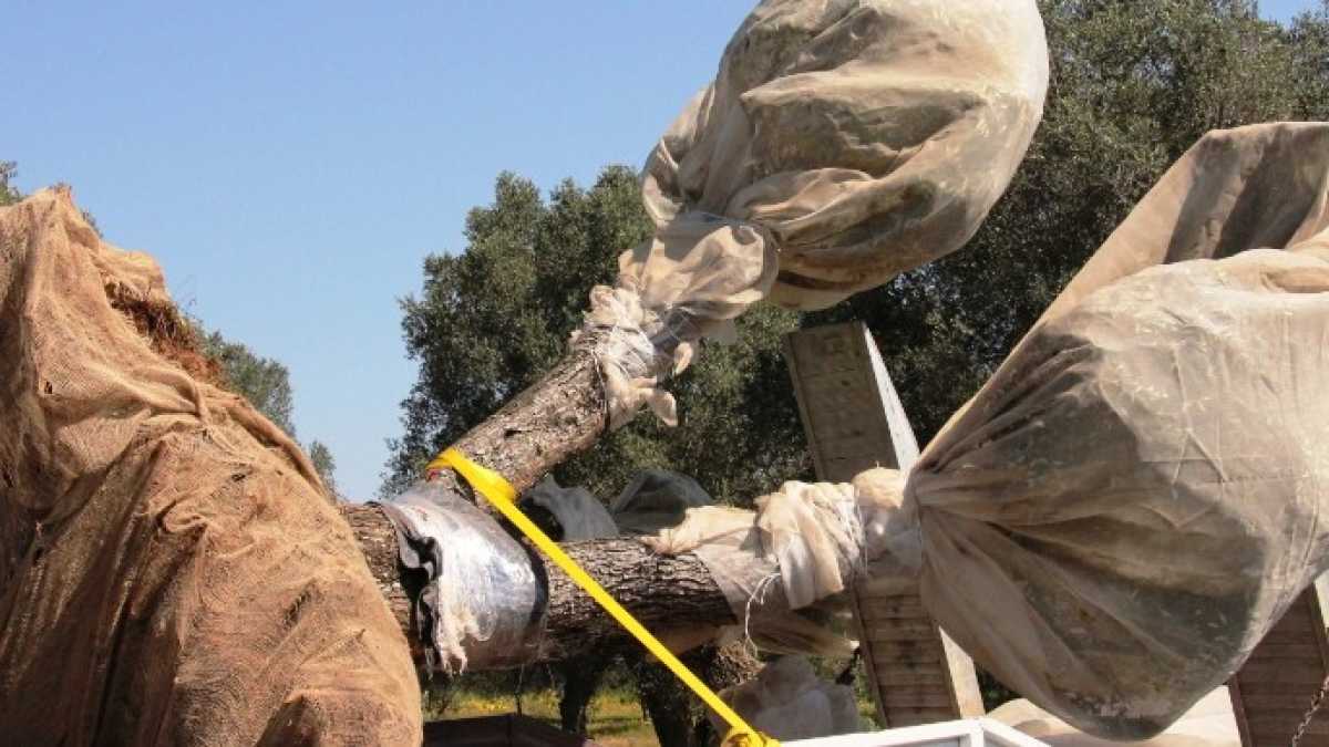 Immagine di Il vittimismo degli insegnanti del Sud