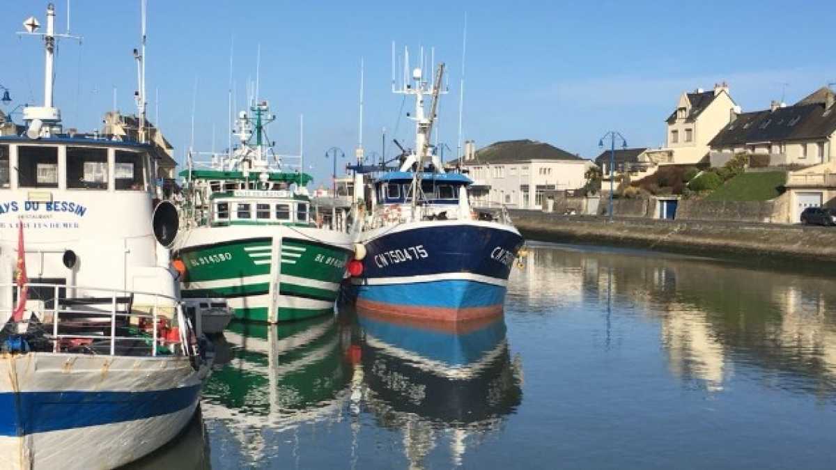 Immagine di I pesci non sono, ehm, "sedentari". La Brexit vista dalla Normandia