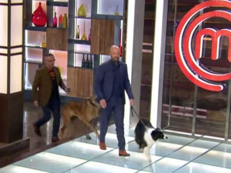 La fine della storia a MasterChef: concorrenti obbligati a cucinare per i cani