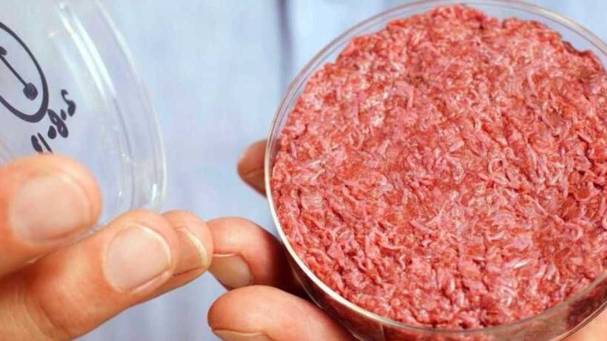 Immagine di Vegan-vegetariani che dicono no alla carne artificiale: il nemico è il "carnismo"
