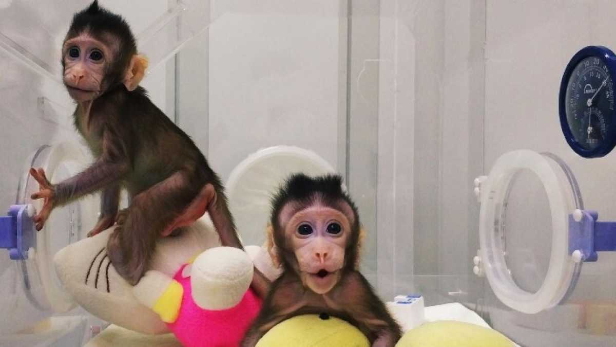 Immagine di Nuove frontiere dell'eugenetica