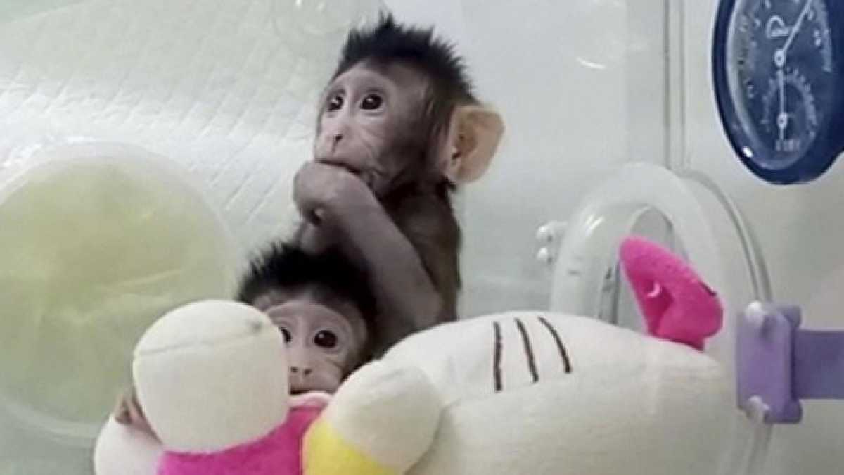 Immagine di La Cina è una potenza scientifica, ma le manca una cosa: la libertà