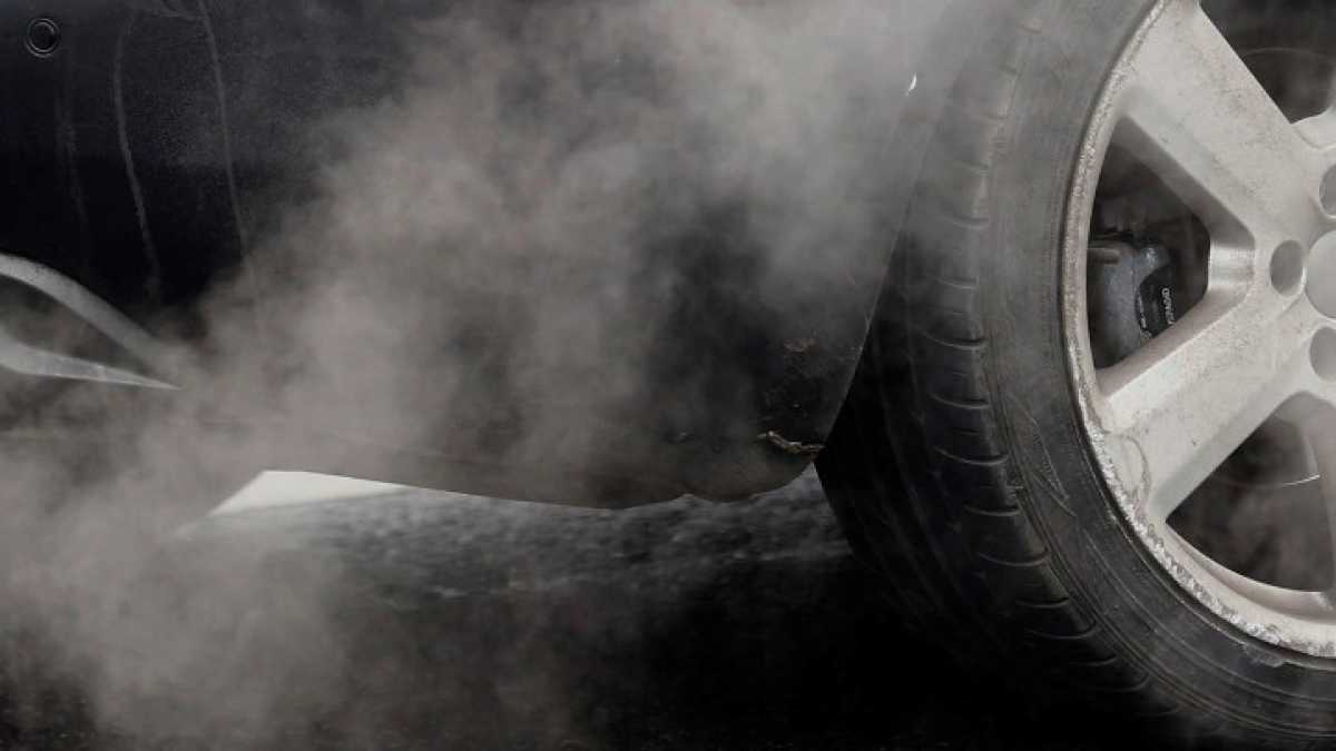 Immagine di Gas di scarico testati su scimmie e (forse) uomini: il diesel fa ancora scandalo