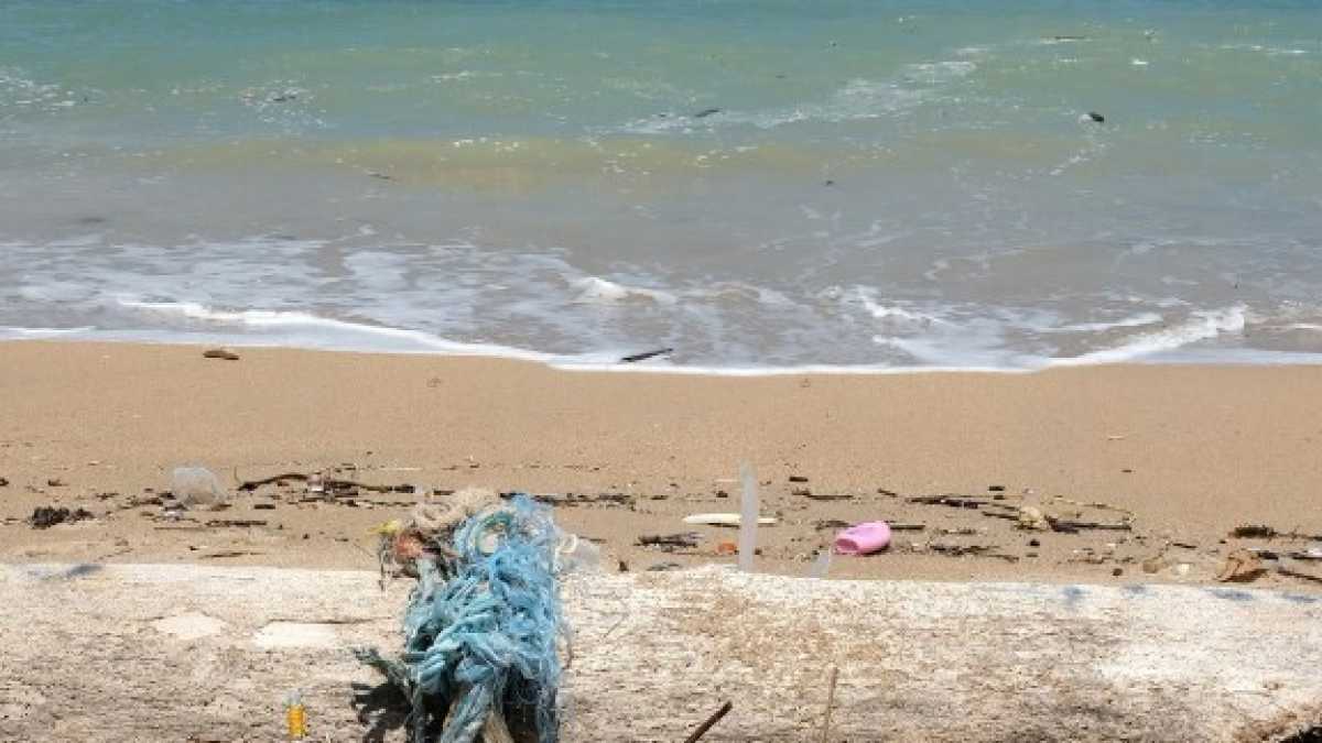 Immagine di Vuotare il mare con il secchiello