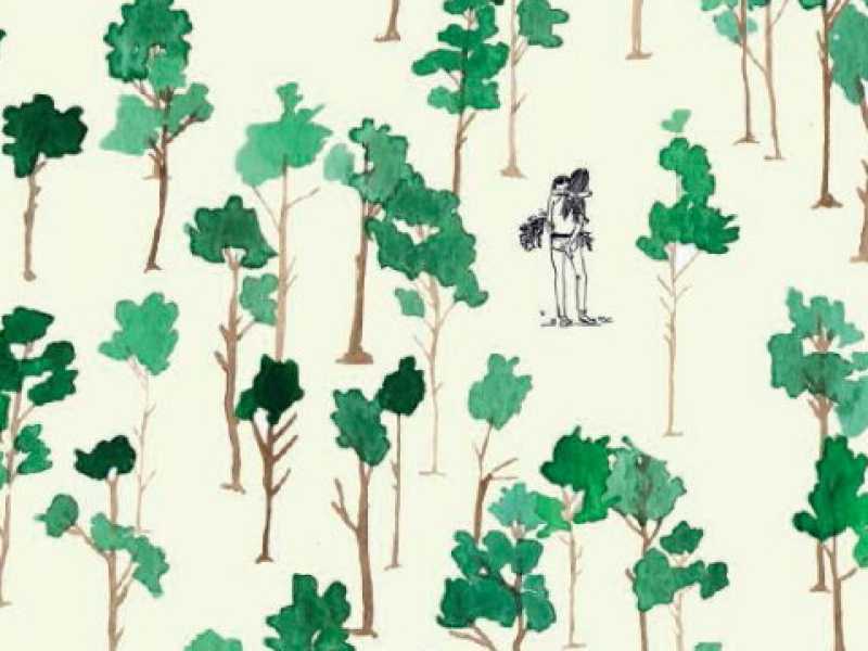 Illustrazione di Flaminia  Veronesi per la copertina di &ldquo;Faremo Foresta&rdquo; di Ilaria Bernardini (Mondadori, 19 euro). Ilaria Bernardini ha scritto romanzi e raccolte di racconti e scrive per  tiv&ugrave; e cin