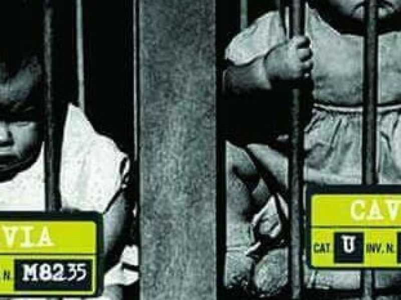 Così il complottismo no vax diventa uno spettacolo teatrale