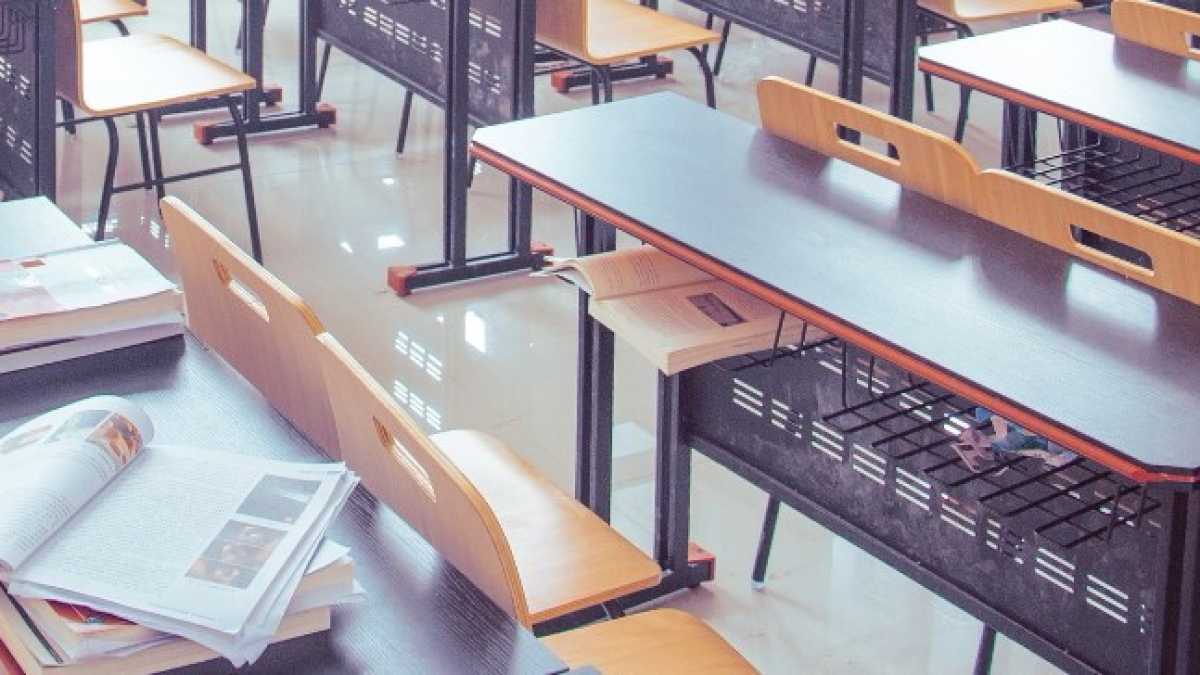 Immagine di Cosa c'è (e cosa manca) tra le linee guida del ministero sulla didattica della Shoah