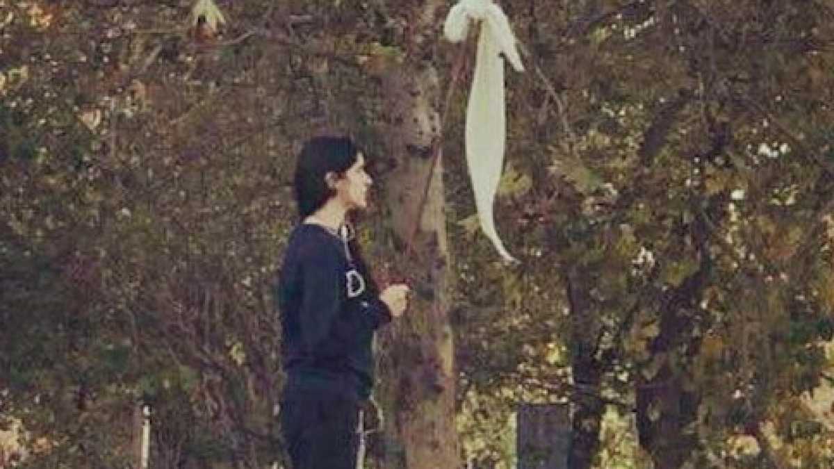 Immagine di Amica Teheran