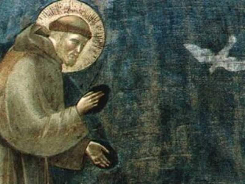 Francesco predica agli uccelli. Giotto, Basilica Superiore di Assisi, particolare