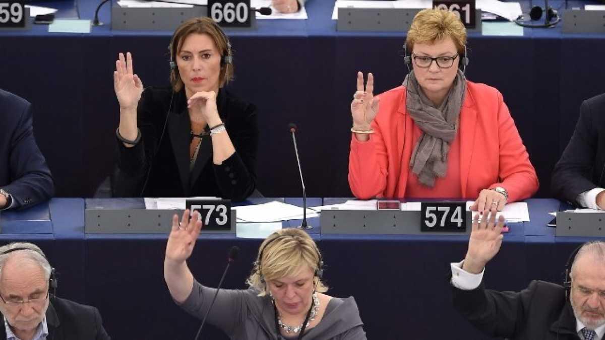 Immagine di L'Europarlamento contro Macron