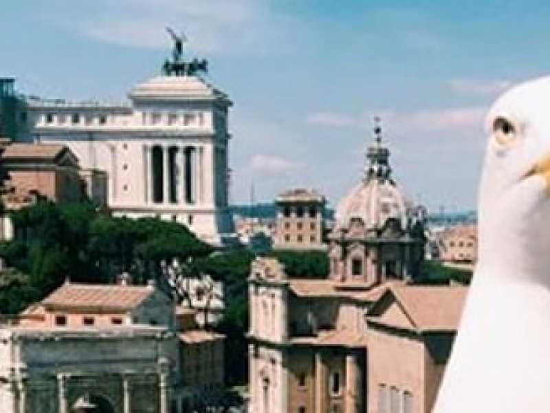 La foto condivisa sui profili social del comune di Roma (foto LaPresse)
