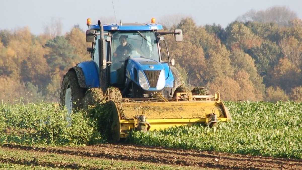 Immagine di Pazzie sovraniste spiegate con l'agricoltura. Lezioni per Di Maio e Salvini