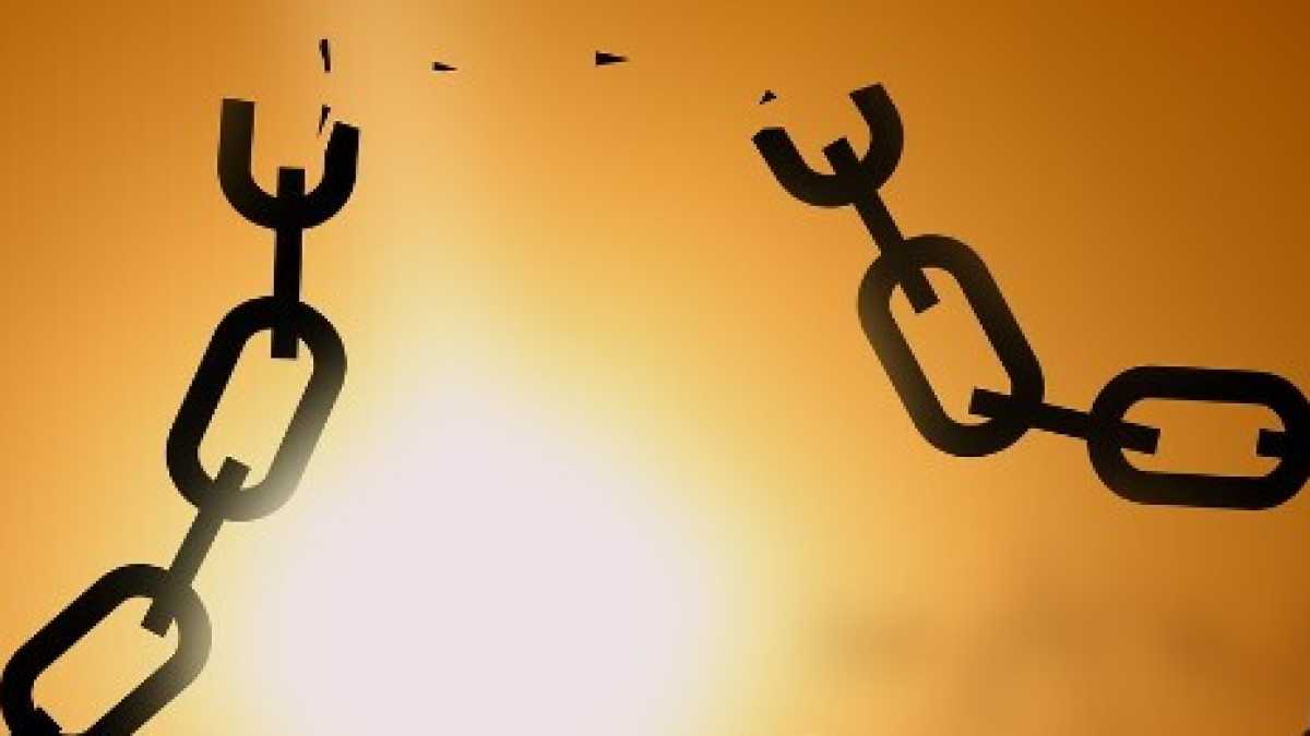 Immagine di Ricette per rendere l'Italia più libera