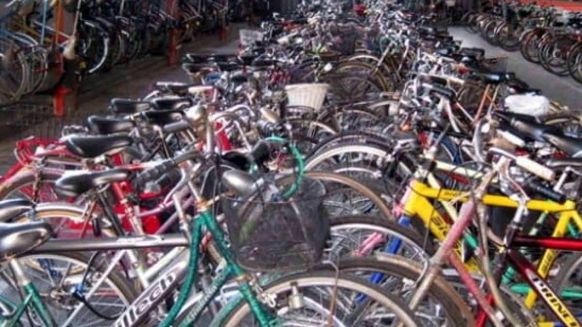 Immagine di San Valentino, miracolo a Milano