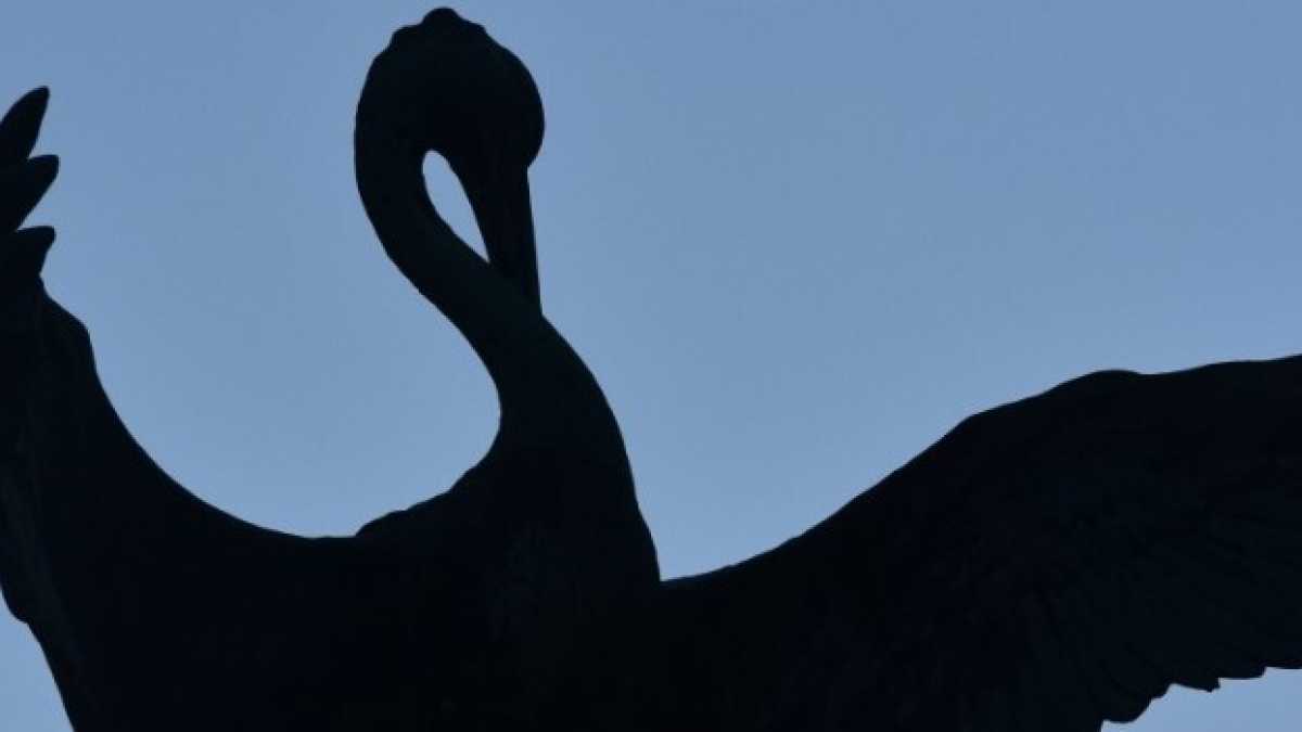 Immagine di Insegnamenti per sfuggire alla magia nera delle timeline e delle cronache
