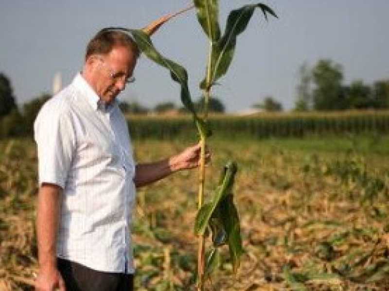 Giorgio Fidenato nei suoi poderi di Arba (Foto da Fecebook)