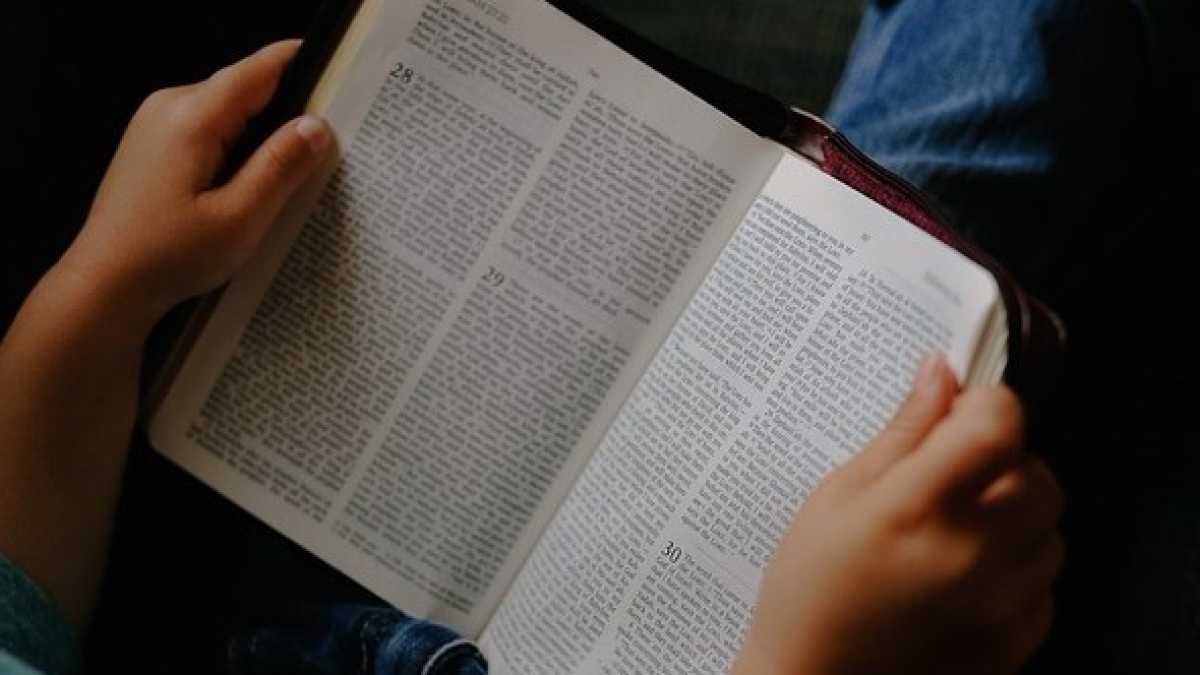 Immagine di Liberi di leggere