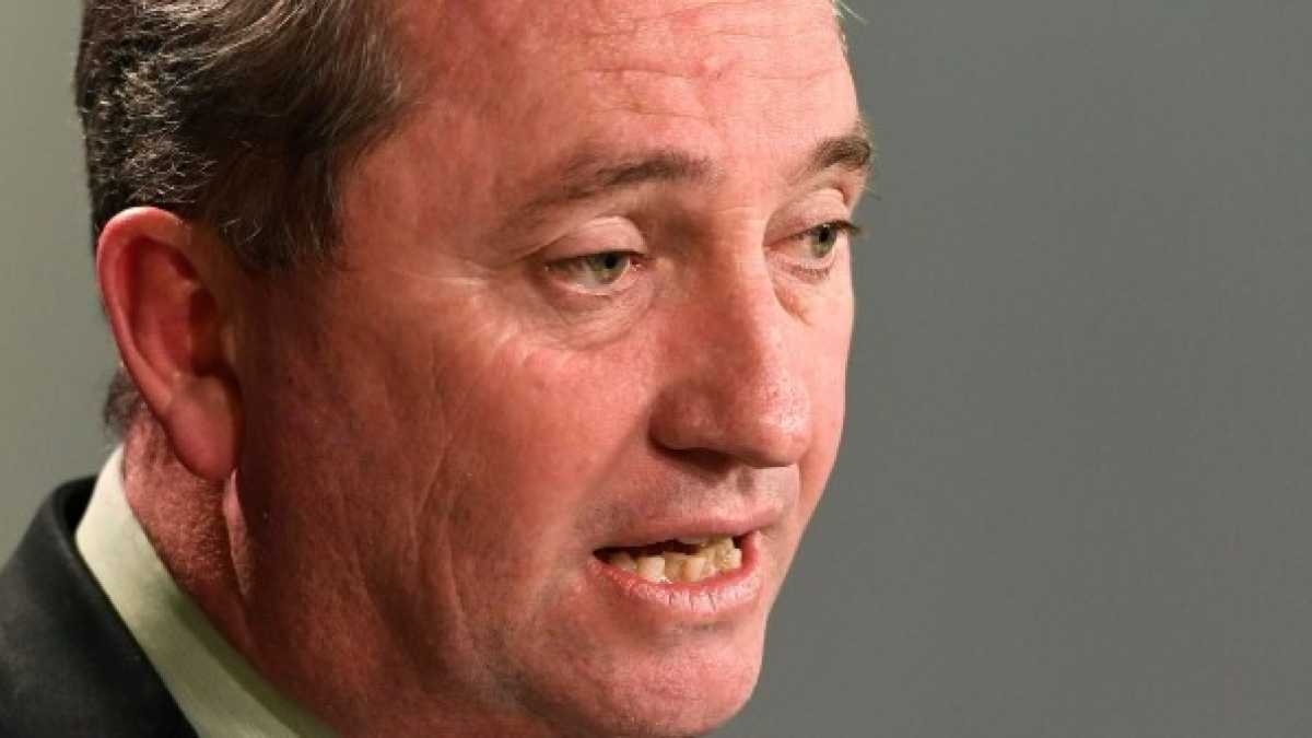 Immagine di Il vicepremier e la staffer