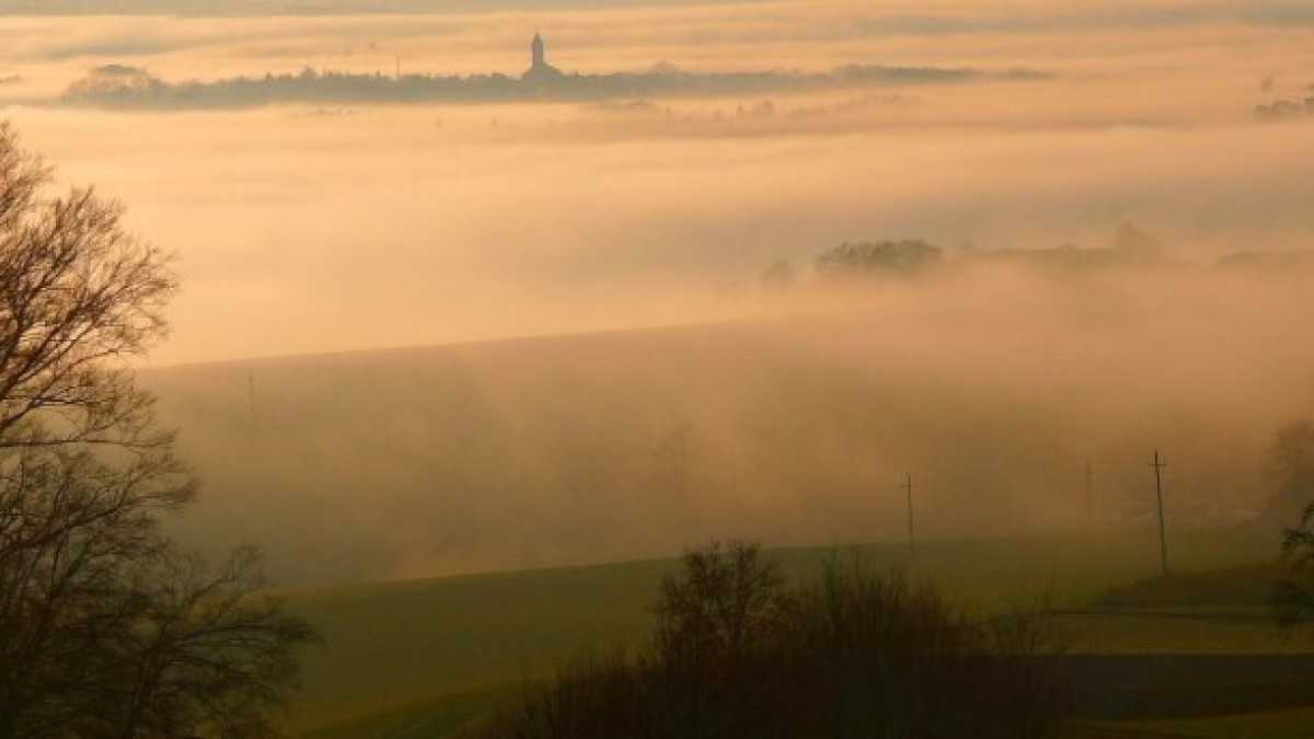 Immagine di Le carezze, il silenzio e la nebbia