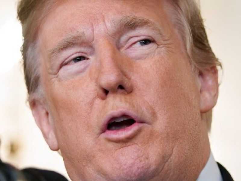 Donald Trump (foto LaPresse)