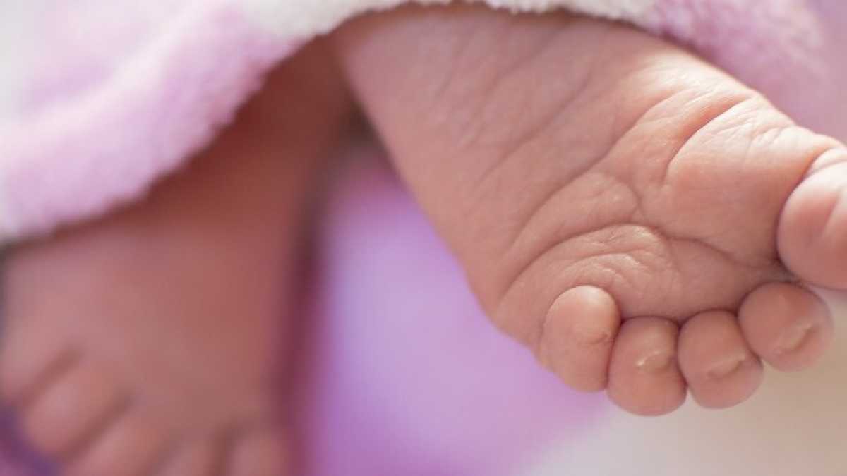 Immagine di "Fate figli!". Un giapponese ci prende troppo sul serio