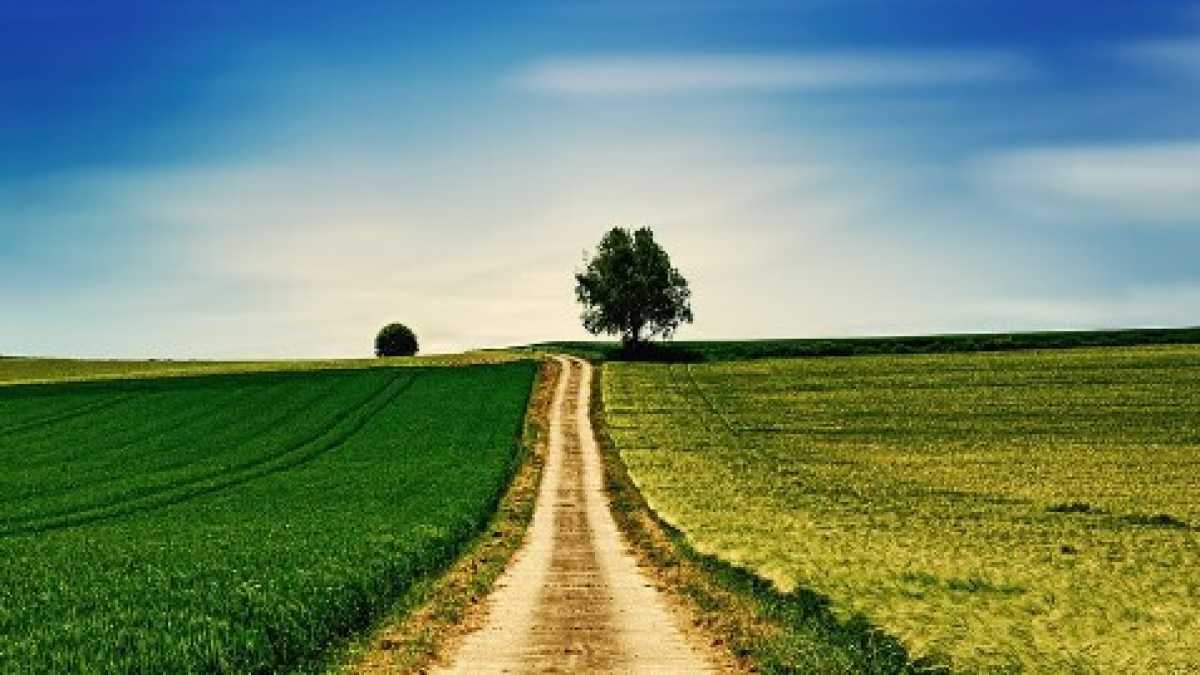 Immagine di No l’agricoltura non è “il grande inquinatore”