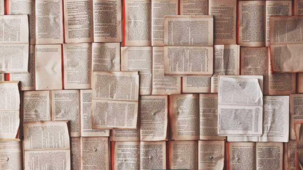Immagine di Come mai per fare un complimento a un libro si garantisce che è "qualcos'altro"?