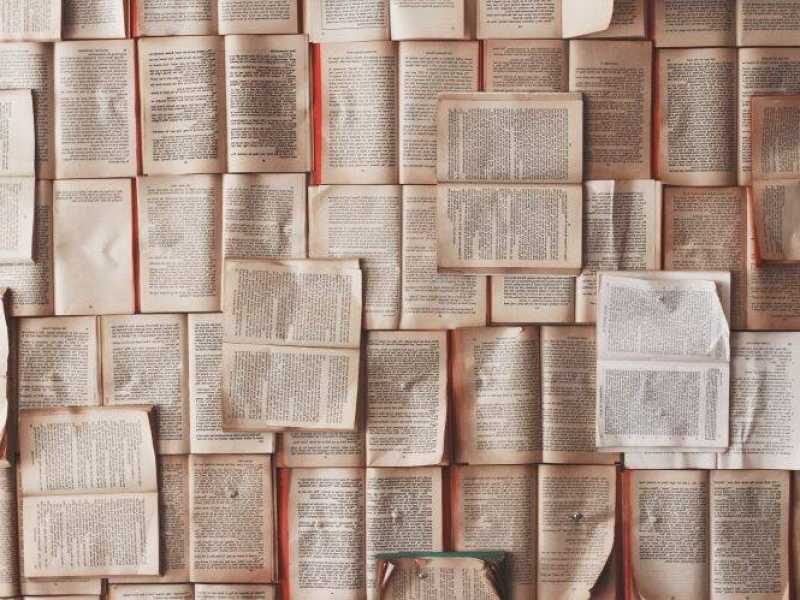 Come mai per fare un complimento a un libro si garantisce che è "qualcos'altro"?