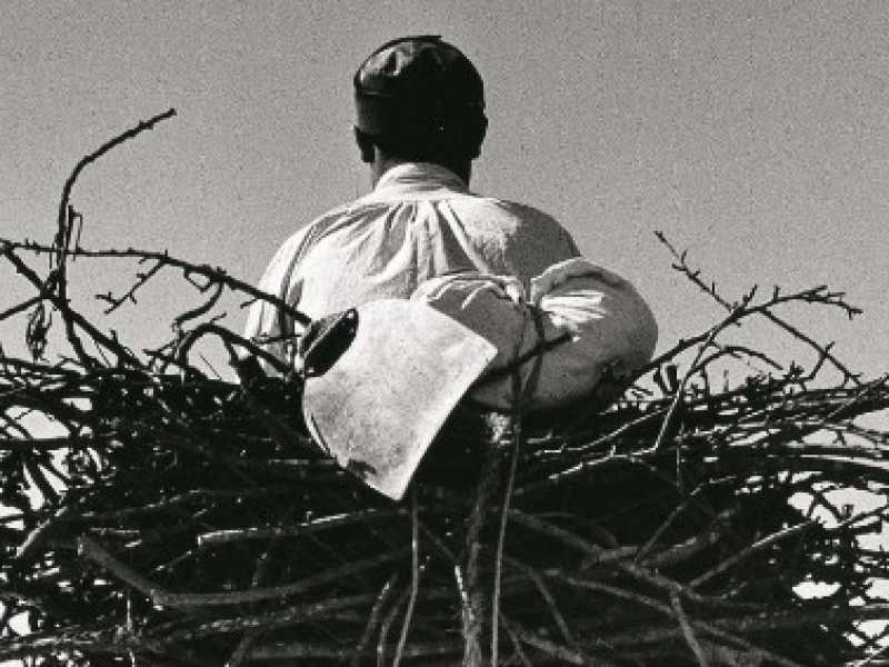 Fulvio Roiter, "Sicilia, sulla strada Gela-Niscemi", 1953, © Fondazione Fulvio Roiter. La mostra "Fulvio Roiter: fotografie 1948-2007" sarà ospitata dal 16 marzo alla Casa dei Tre Oci, a Venezia
