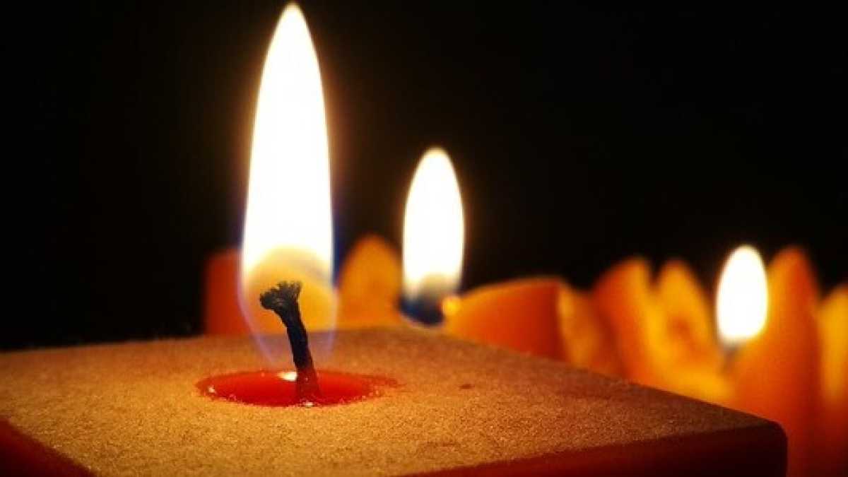 Immagine di La scoperta del noumeno in una cipolla caramellata color viola psichedelico