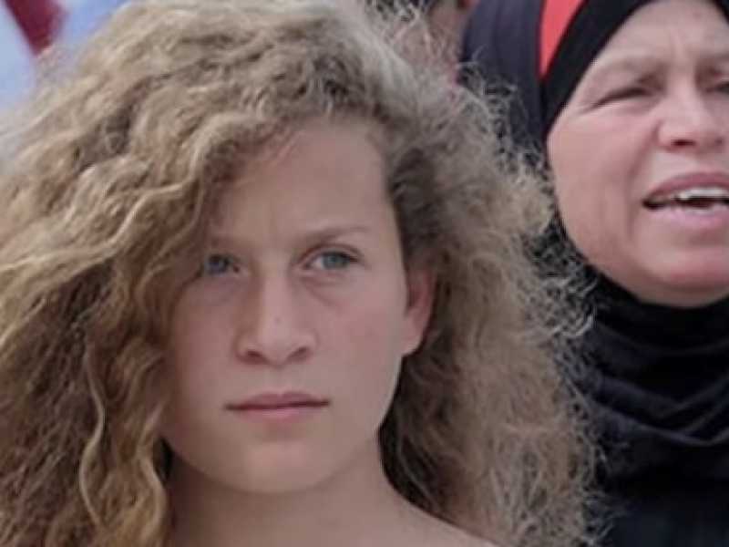 La famiglia Tamimi &egrave; la pi&ugrave; formidabile macchina di propaganda contro l&rsquo;&ldquo;occupazione di Israele&rdquo;. E&rsquo; stata chiamata &ldquo;Pallywood&rdquo;, il set cinematografico dell&rsquo;intifada palestinese