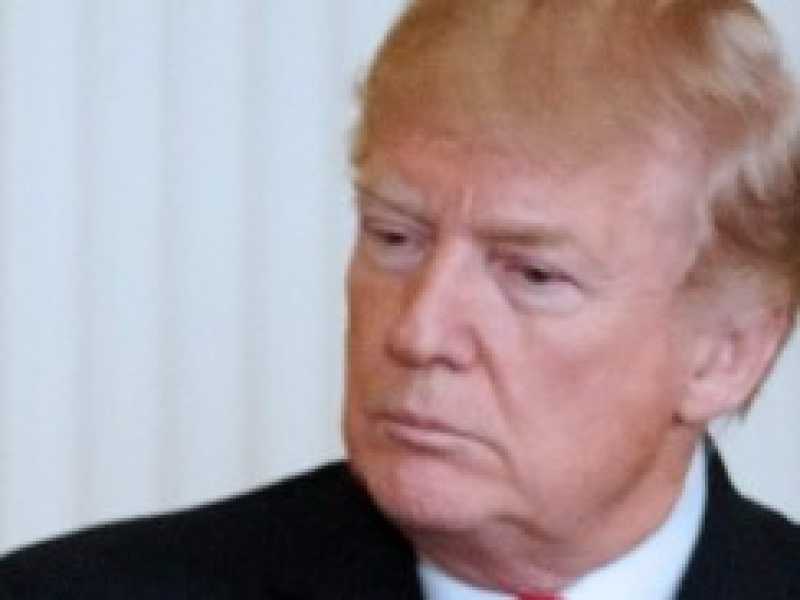 Donald Trump (foto LaPresse)