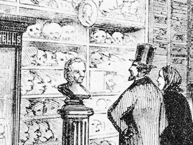 Gabinetto di frenologia Fowlers & Wells, illustrazione del New-York Illustrated News, 1860 (particolare)