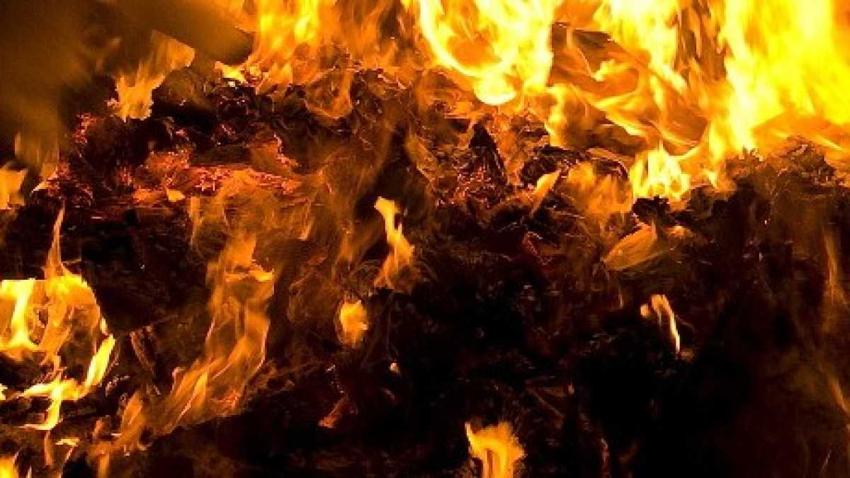 Immagine di Bruciate le Bibbie in italiano, così i cardinali potranno continuare a parlare