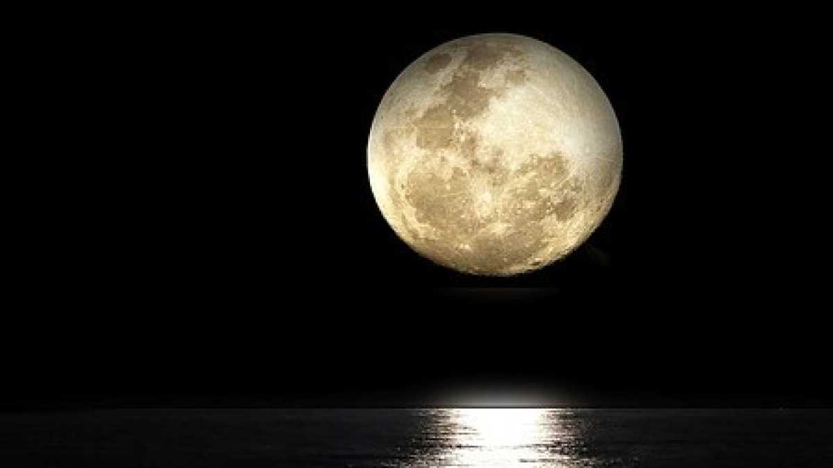 Immagine di Unica, sorprendente e non abituale. Luna