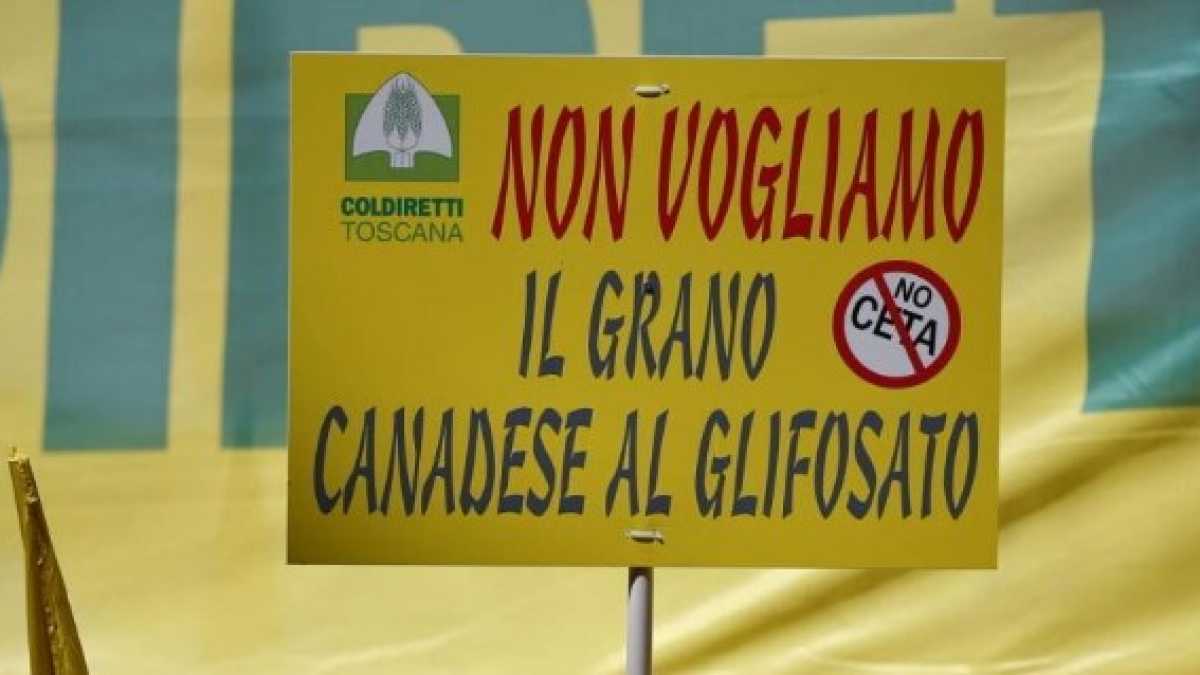 Immagine di Chi semina bufale raccoglie vergogna