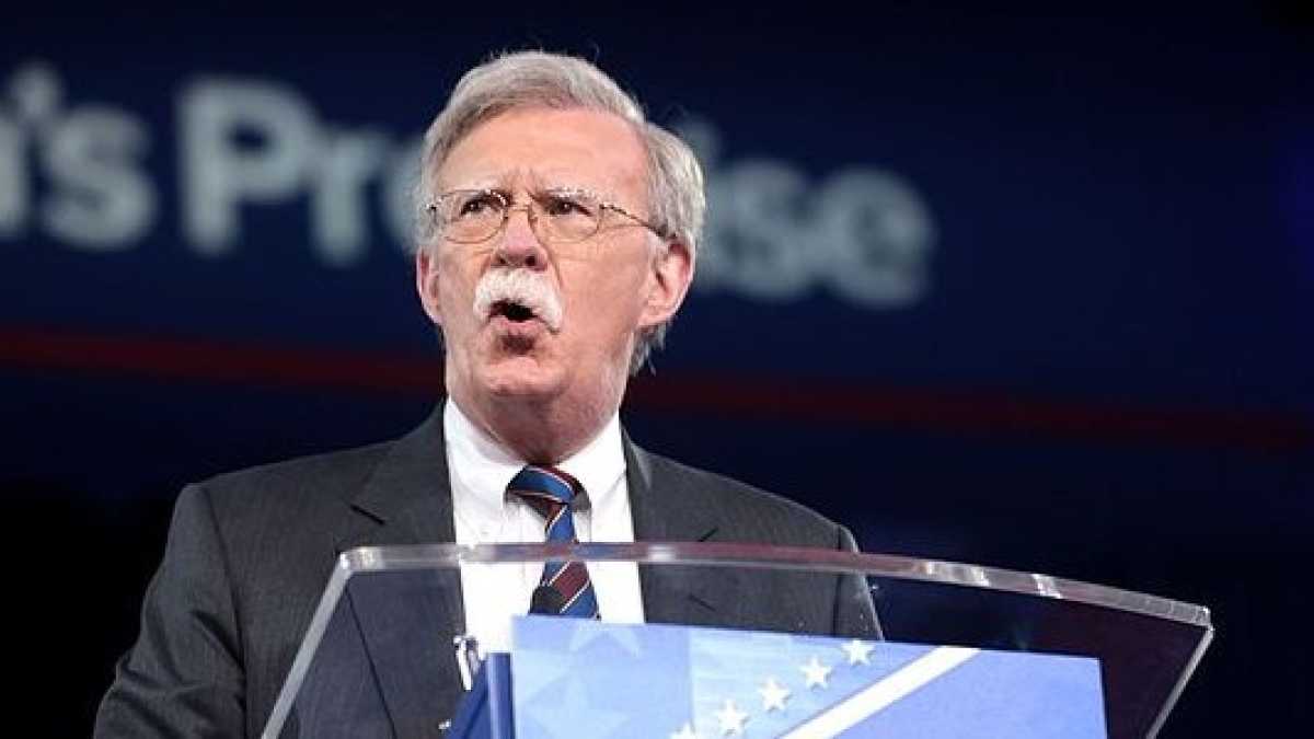 Immagine di Bolton, un falco coi baffi