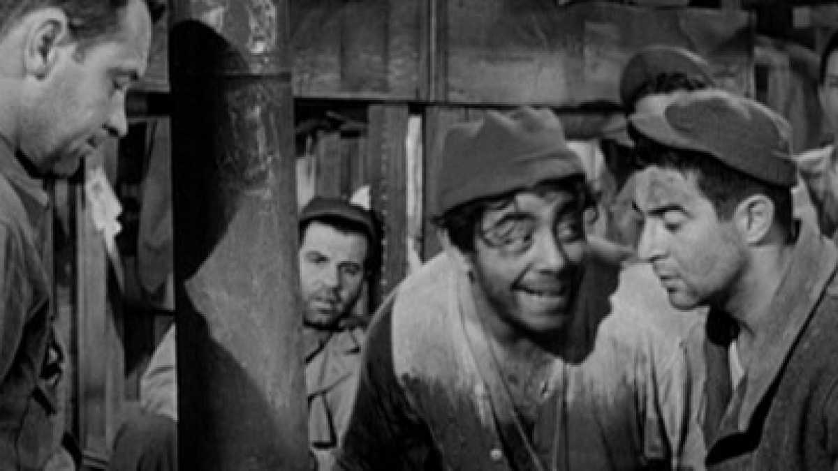 Immagine di L’America ossessionata da Dio e la tecnica per salvarsi (forse)