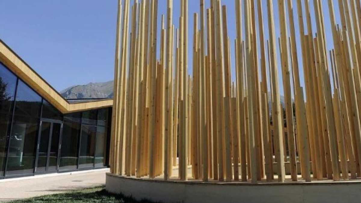 Immagine di Il paradosso di un’azione socialmente utile trasformata in un caso giudiziario