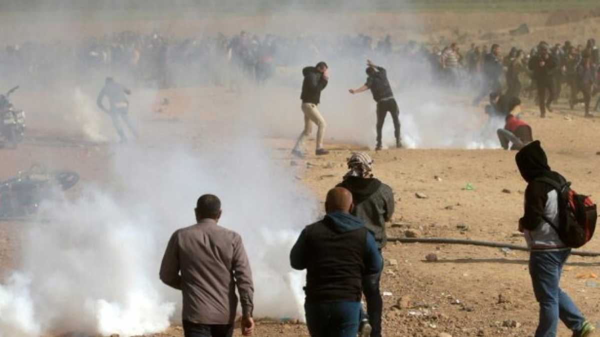 Immagine di Capire le morti di Gaza