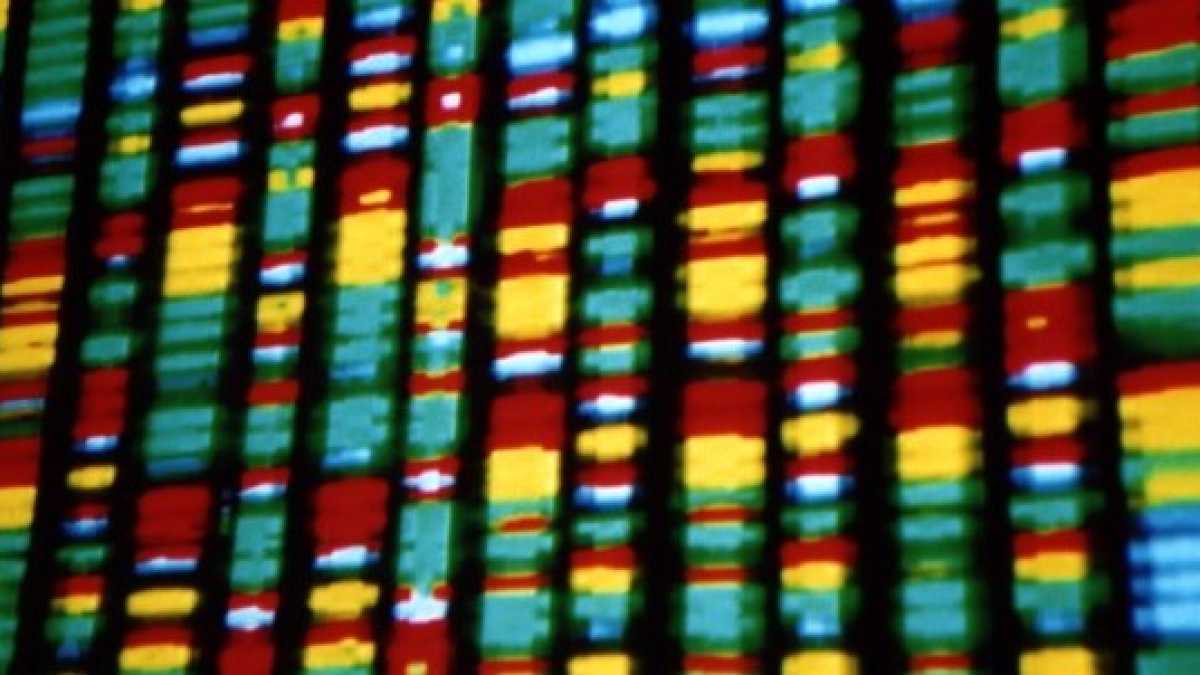 Immagine di E tu di che Dna sei?
