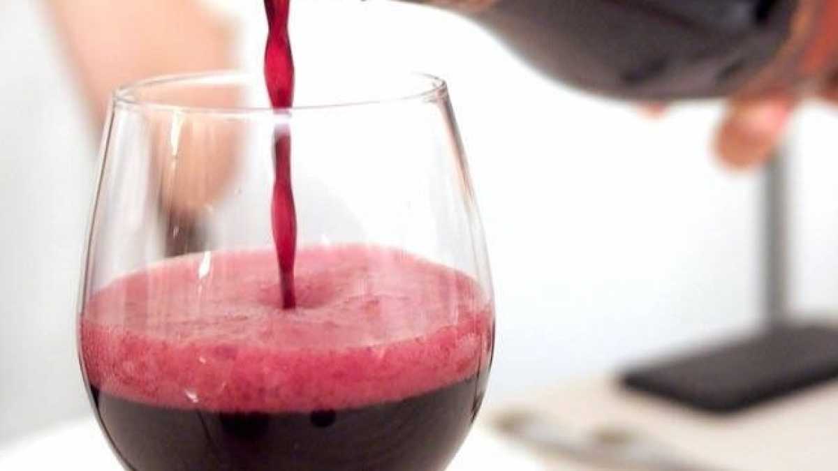 Immagine di Cerco di convertire Marcello Veneziani al culto del Lambrusco