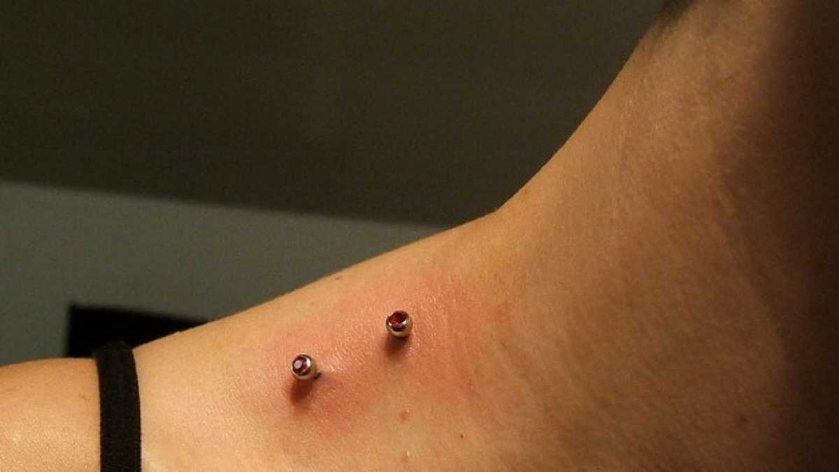 Immagine di Sono tornati i vampiri