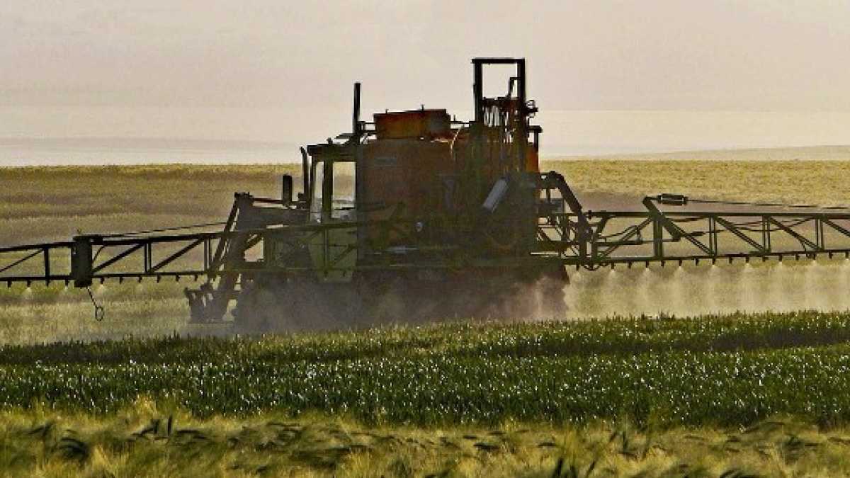 Immagine di Gli allarmi e gli allarmismi sul glifosate. Un dossier