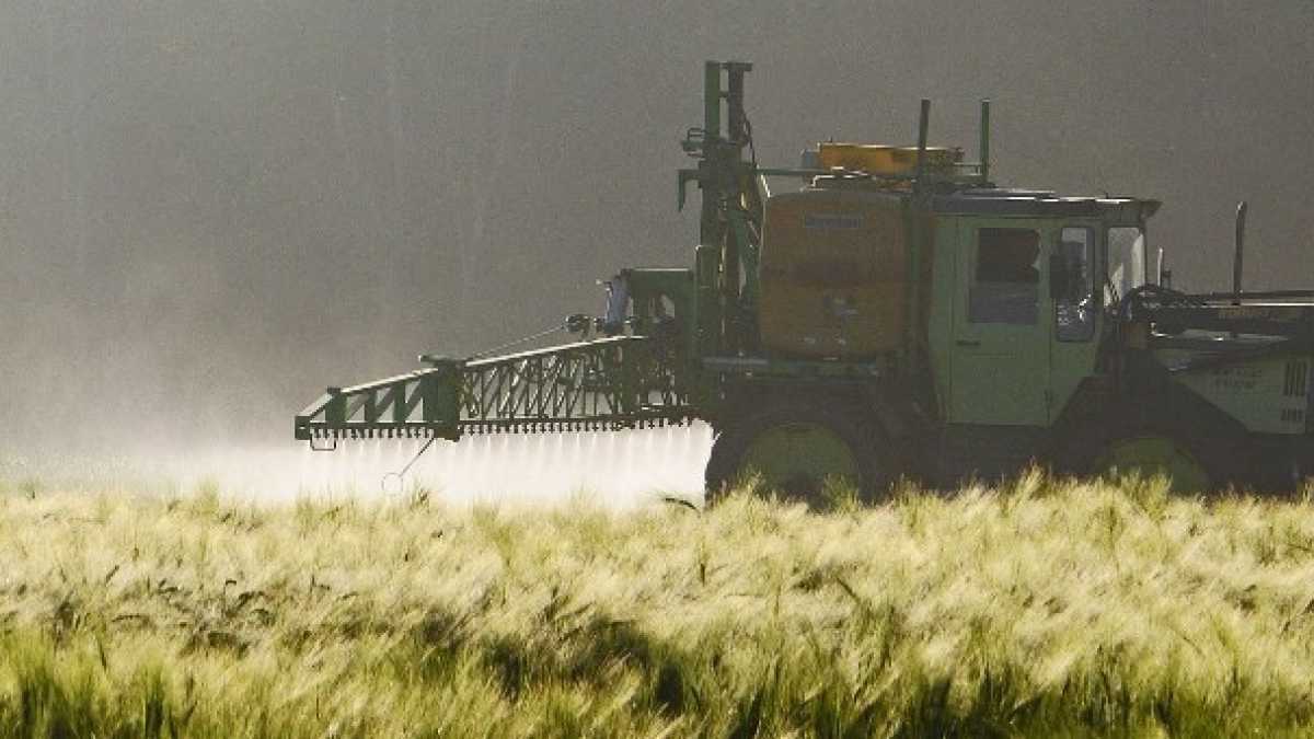Immagine di Gli allarmi e gli allarmismi sul glifosato