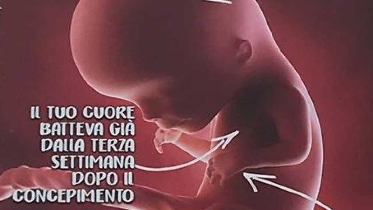 Immagine di Così i liberali del pensiero vogliono censurare il manifesto di ProVita