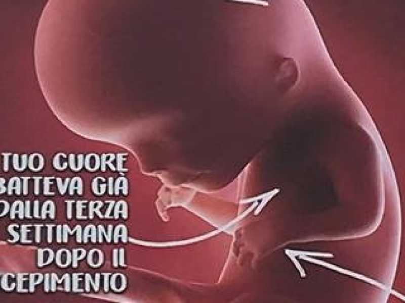 Il manifesto di ProVita